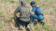 Charca trampa en la provincia de Albacete