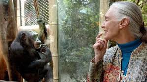 DC Edit | Goodall Explained Nature To World