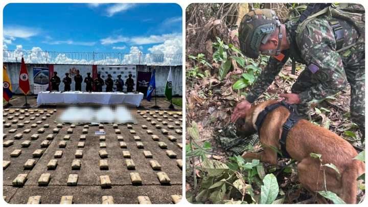 Golpe a las disidencias de Iván Mordisco: Fuerzas Militares neutralizaron 4 integrantes y capturaron otros 4 en el sur del país