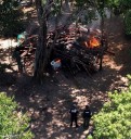 Desmantelan campamento de narcotráfico en Amazonas