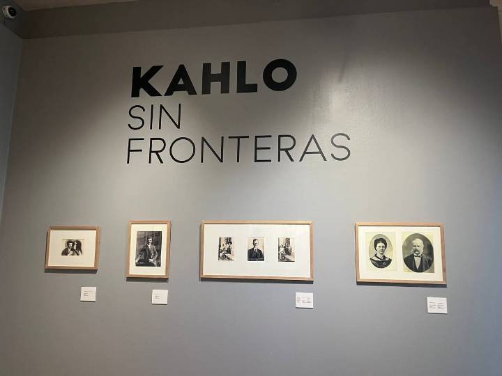 Exposición del Museo de Historia Natural de Londres inaugura Artes Visuales del FIC