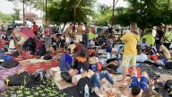 INM niega permisos a migrantes; la única opción es regresar a Tapachula