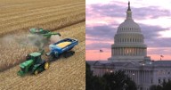 Farmers "are very concerned" about government shutdown, union leader says