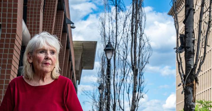 Downtown property owners let street trees die, ignored warnings. Now the public is footing the bill.
