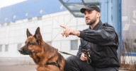 Search Continues for Alleged Wire Thieves