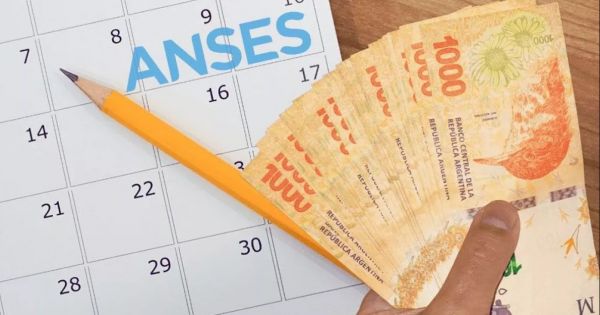 [ANSES] Nuevo bono: cómo saber si te corresponde