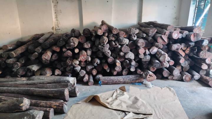 Delhi Police Nab Duo For Smuggling 10 Tonnes Red Sandalwood Worth Rs Six Crore