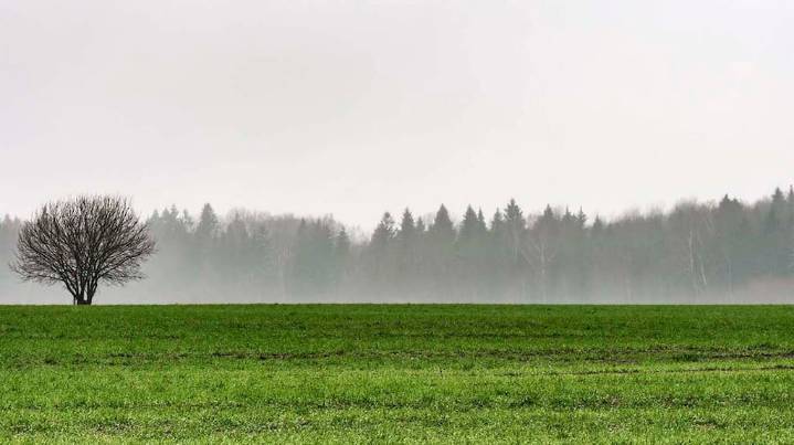 Las lluvias se concentrarán sobre el norte de la región agrícola durante los próximos días