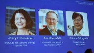Tres científicos ganan el Nobel de Medicina por investigación sobre el sistema inmunitario