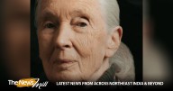 Chronicler of Chimpanzees, Jane Goodall dies at 91
