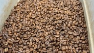 New bill aims to eliminate tariffs on coffee
