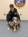 Two pups discovered on Highway 34 near church