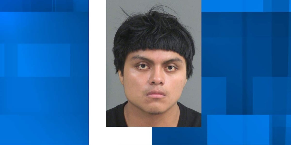 Charleston County deputies arrest man following pursuit with stolen vehicle