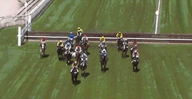 British jockey suffers sickening injuries in horror fall
