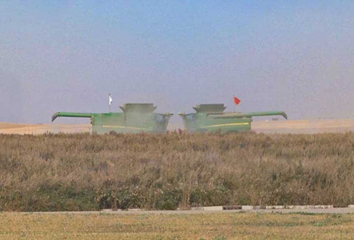 Late-season frost poses little threat to nearly complete harvest near Weyburn