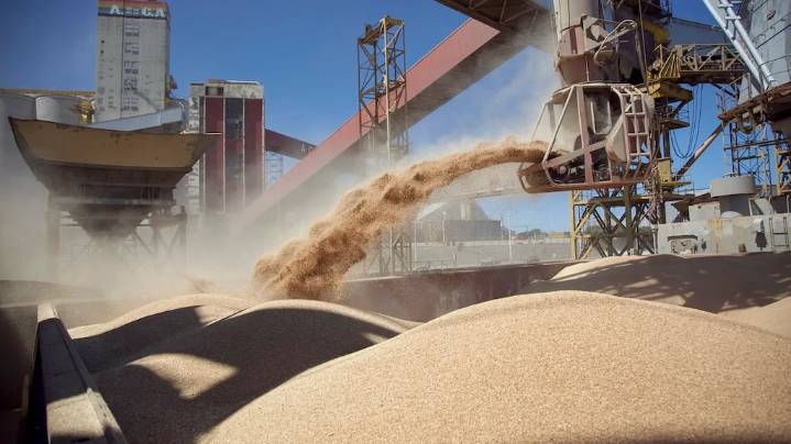 Con las retenciones cero, el agro ingresó 290% más de dólares que en agosto y sumó US$7100 millones