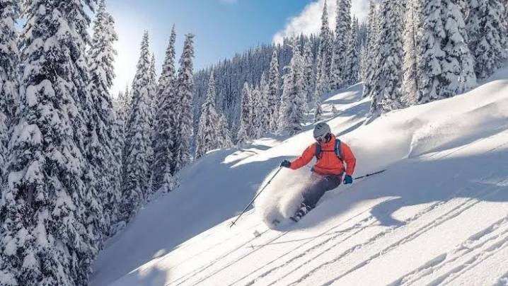 Govt plans to introduce winter sports, festivals in Sonamarg on Gulmarg model: Minister