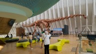El mayor dinosaurio del mundo está en Valencia