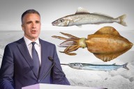 Data shows fish species decimated in SA waters - News | InDaily, Inside South Australia