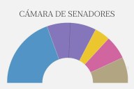 Quiénes entraron y quiénes quedaron afuera de la Cámara de Senadores