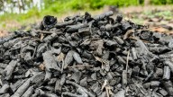 4 Types Of Charcoal You Can Use To Boost Your Garden (& How Are They Different?)