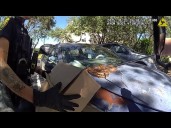 Clearwater officers help remove a snake found on hood of woman's car