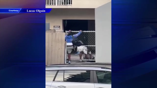 2 detained, 1 on the loose after fleeing scene of Tesla crash in Miami Beach, police say