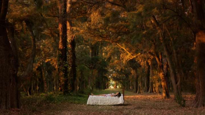 IDFA in Amsterdam Sets International and Envision Competition Lineups