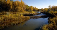 Colo. asks Supreme Court to reject Nebraska’s South Platte River lawsuit, calling it ‘premature and unfounded’