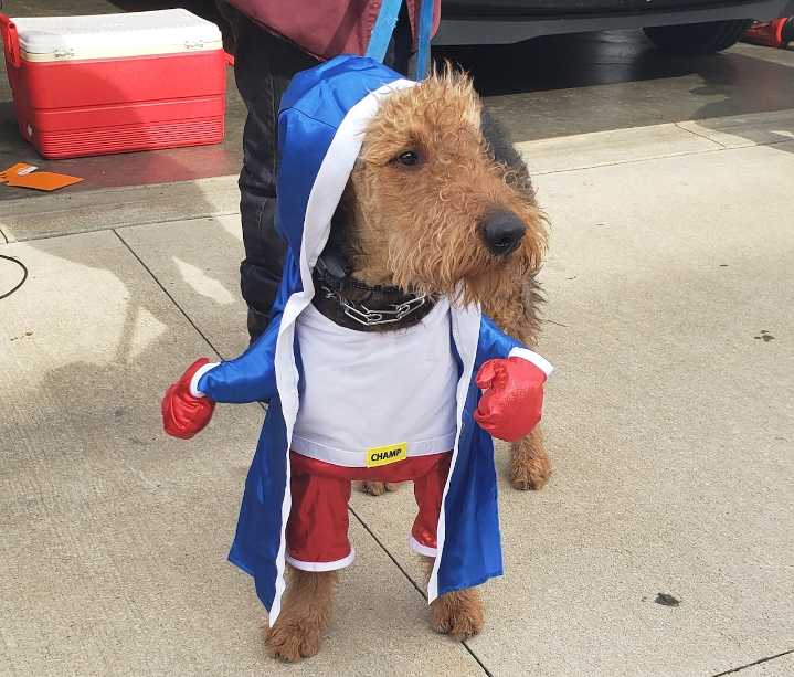 Winston is the heart of his family: Send us your pet stories