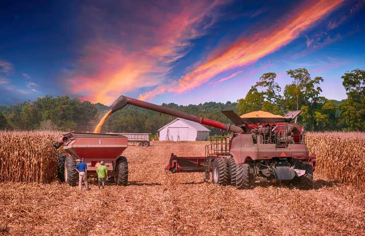 Trade Tensions Hit U.S. Soybean Farmers as China Retaliates