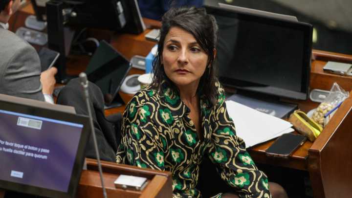 Ministra (e) de Ambiente, Irene Vélez, notificada por desacato a la ley de reforestación y sancionada con multa