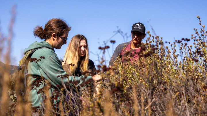 Free Things to Do: Outdoor Volunteering and Family