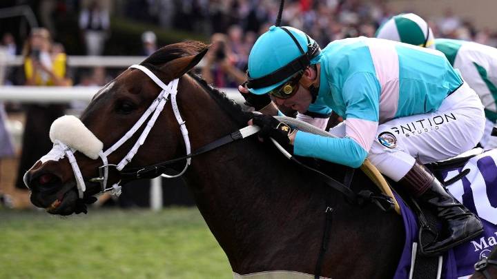 ‘World-class mare’ Moira suddenly retired days before Caulfield Cup