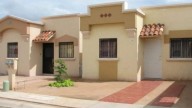Sonora