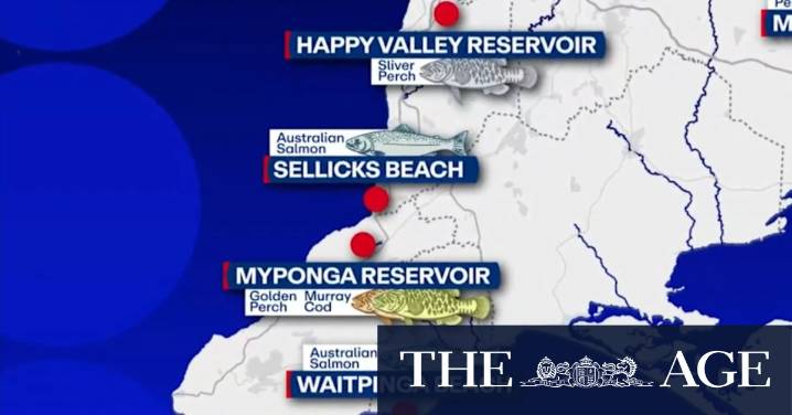 Thousands up for grabs in SA tagged fish competition