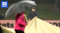 Australia retains Chappell-Hadlee Trophy after rain washes out second T20I against New Zealand