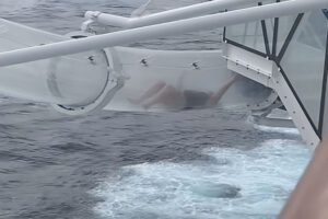 You have to see this! Cruise ship passenger gets stuck in see