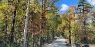 What’s going on with Kentucky’s fall colors this year?