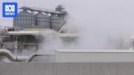 GrainCorp settles class action over noise and odour pollution in Numurkah