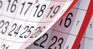 Día Mundial de la Alimentación: por qué se celebra el jueves 16 de octubre