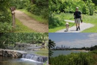 Leash up and leaf peep: 10 dog-friendly hikes to savor Northeast Ohio’s fall colors