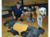 Fall fundraising calendar packed for Ontario SPCA SDG