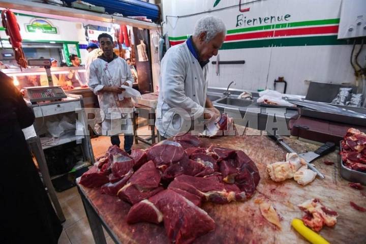 Piden ganaderos límites  a importaciones de res