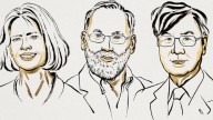 Ganan el Nobel de Medicina tres científicos por avances en la investigación del sistema inmunitario