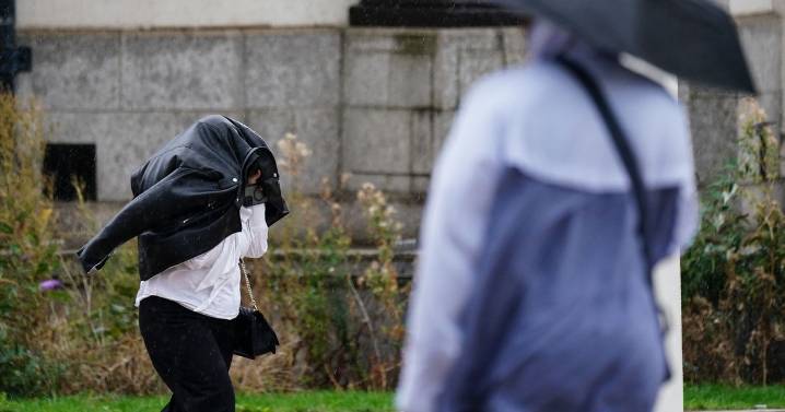 Storm Amy set to hit Cambridgeshire with high winds forecast