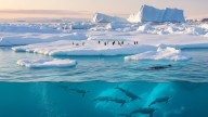 Antarctic Sea Ice Is Melting Faster Than Ever And It Could Unleash A Hidden Carbon Bomb Accelerating Global Warming