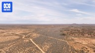 Search for Gus expected to continue in soaring heat