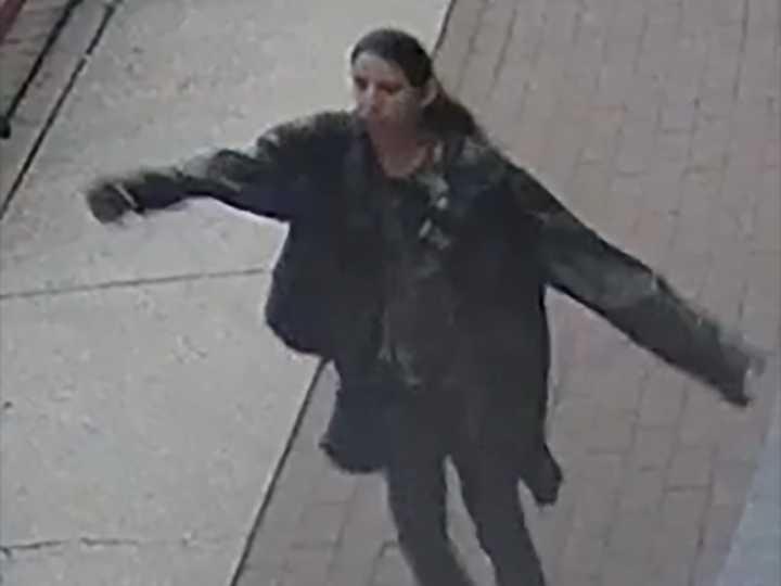 'We fear the community is at risk': Vancouver police race to ID suspect who randomly stabbed four people
