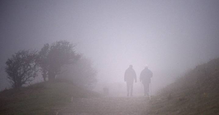 Kent hit with fog weather warning from Met Office as morning travel disruption expected